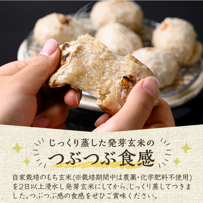 y454-R802 《訳あり！先行予約！2026年2月以降順次発送》発芽玄米餅 計30個(プレーン6個×5袋) ラベルレス！栽培期間中農薬・化学肥料不使用の自家製もち玄米をお餅に！ お餅 餅 おもち もち げんまい 玄米 農薬不使用 化学肥料不使用 訳あり 訳アリ ワケあり ラベルレス オーガニック 有機 有機農業 【雲月農園】