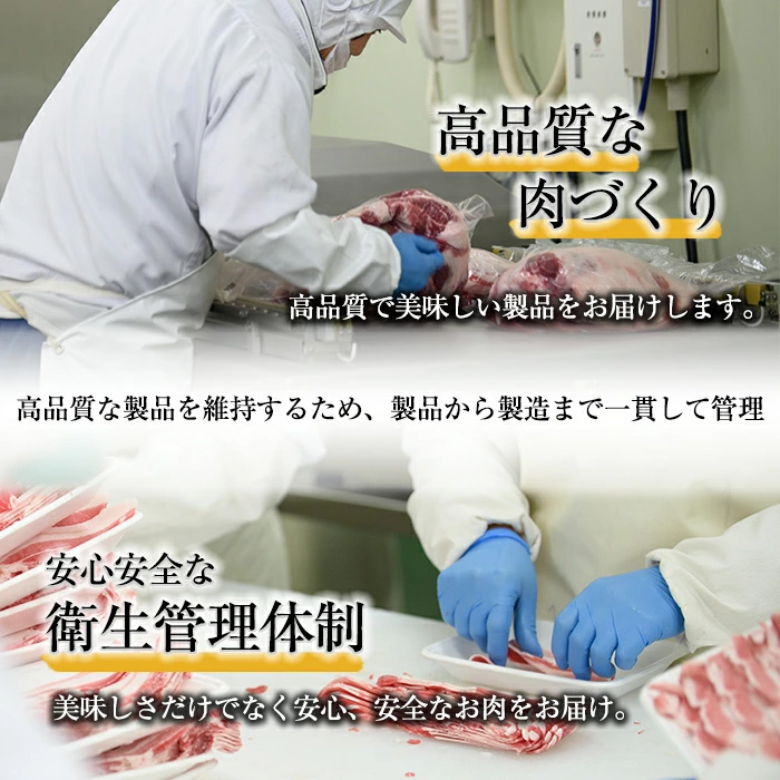 y460 鹿児島県産黒豚ハンバーグ2種セット 計840g (デミグラスソース140g×3P、トマトソース140g×3P) 国産 九州産 豚肉 ソース付き 惣菜 おかず 弁当 小分け 個包装 冷凍 【ナンチク】