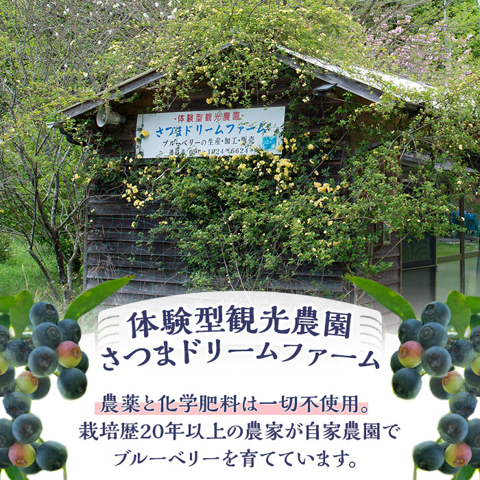 y528 《訳あり・加工用》冷凍ブルーベリー(1kg) 冷凍 国産 九州産 鹿児島県産 くだもの 果物 フルーツ シャーベット ジャム フローズン ベリー おやつ デザート 【体験型観光農園さつまドリームファーム】