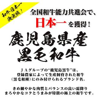 A12 E301 5等級鹿児島黒牛サーロインステーキ（2枚）・すきやきセット 国産 九州産 鹿児島県産 牛肉 黒牛 黒毛和牛 和牛 ステーキ サーロイン リブロース スライス しゃぶしゃぶ すき焼き【湧水町JAあいら】