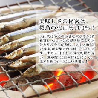 y061 ＜高級手作り干物＞桜島灰干し詰め合わせ！鹿児島県湧水町産にじますの他、季節のお魚を計20袋お届け！ 干物 魚 焼き魚 おかず 晩御飯 晩ごはん 朝食 朝ごはん 朝ご飯 和食 定食 にじます ニジマス 保存料無添加 【福永商店】