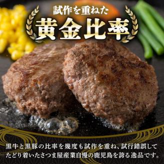 y436 鹿児島黒牛黒豚ハンバーグ(10個・計1.3kg) 国産 九州産 鹿児島県産 お肉 ぶた ブタ 豚肉 牛肉 ミンチ パック 小分け 冷凍 冷凍ハンバーグ おかず 惣菜 調理 お弁当【さつま屋産業】