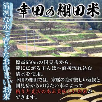 C09 鹿児島県産ひのひかり 棚田米10kgセット(5kg×2袋) 国産 九州産 鹿児島県産 湧水町産 10kg 新米 お米 おこめ 米 白米 ご飯 ごはん おにぎり ひのひかり ヒノヒカリ 令和7年産 【くりの物産館】