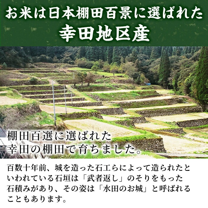 y215 棚田で作ったもち麦200g×5袋(計1kg)！日本棚田百選に選定されている「鹿児島県湧水町幸田棚田のもち麦」国産 九州産 鹿児島県産 もち麦 ごはん ご飯 ダイエット 健康【福永商店】