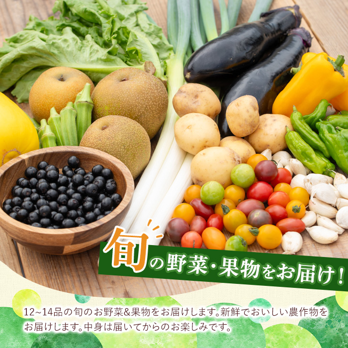 y361 《定期便・全３回》野菜と果物旬の詰め合わせ(12～14品目) 国産 九州産 鹿児島県産 野菜 やさい果物 くだもの フルーツ デザート 詰め合わせ お楽しみ セット 旬【鹿児島県経済農業協同組合連合会】