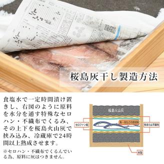 y061 ＜高級手作り干物＞桜島灰干し詰め合わせ！鹿児島県湧水町産にじますの他、季節のお魚を計20袋お届け！ 干物 魚 焼き魚 おかず 晩御飯 晩ごはん 朝食 朝ごはん 朝ご飯 和食 定食 にじます ニジマス 保存料無添加 【福永商店】