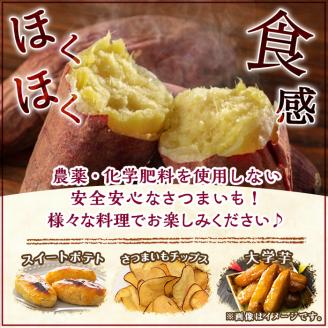 y329-A ≪通常サイズ(1個あたり100g~)≫湧水町産有機さつまいも「紅はるか」(計10kg)国産 九州産 鹿児島産 有機栽培 サツマイモ 生芋 芋 焼き芋 やきいも べにはるか 天ぷら おかず 野菜 おやつ スイーツ 旬 常温 常温保存【そのやま農園】