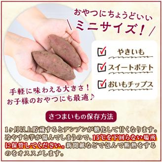 y329-B ≪ミニサイズ(1個あたり50g~100g)≫湧水町産有機さつまいも「紅はるか」(計10kg) 国産 九州産 鹿児島産 有機栽培 サツマイモ 生芋 芋 焼き芋 やきいも べにはるか ミニ ミニサイズ 天ぷら おかず 野菜 おやつ スイーツ 旬 常温 常温保存【そのやま農園】