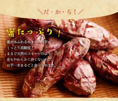 y136  湧水町産さつまいも！紅はるかを使用したペット用冷凍やきいも(500g×3袋・計1.5kg) 国産 九州産 サツマイモ さつま芋 紅春香 芋 焼き芋 やきいも 野菜 スイーツ 冷凍 ペット用 えさ エサ【永野工務店】