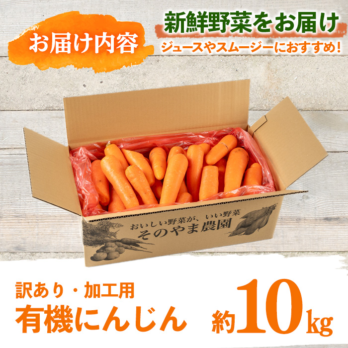 y161 ≪訳あり・数量限定≫湧水町産有機にんじん(約10kg) 国産 九州産 鹿児島産 有機野菜 有機栽培 にんじん 人参 ニンジン キャロットジュース 野菜 やさい おかず 旬 わけあり 訳アリ 不揃い 規格外 期間限定 数量限定 オーガニック 健康【そのやま農園】