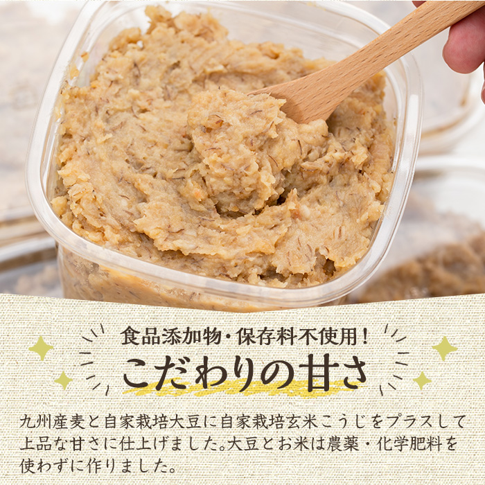 y175 《先行予約受付中！2026年2月以降順次発送》《添加物不使用》麦みそ 計3.2kg(800g×4パック) 味噌 麦味噌 自家栽培 玄米麹 麹 こうじ みそ汁 味噌汁 野菜炒め 田楽 【雲月農園】