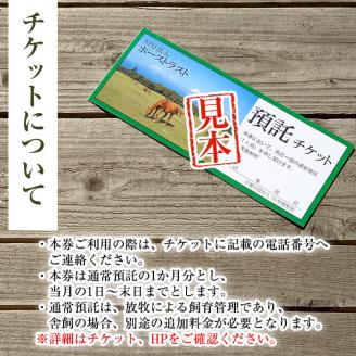 y240 預託チケット！馬匹一頭の通常預託料1ヶ月分に相当するチケット(1枚) 馬 競走馬 競馬 乗馬 乗用馬 預託【NPO法人ホーストラスト】