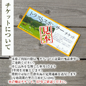 y241 馬主のいない馬を助けたい！トラストスポンサーチケット(1枚) 里親として1年間サポートするシステムです 馬 競走馬 競馬 乗馬 乗用馬 里親 ペット サポート【NPO法人ホーストラスト】