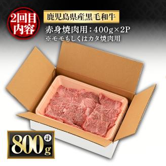 y443 ＜定期便・全3回(連続)＞黒毛和牛の赤身牛肉コース(すき焼き、焼肉、ステーキ)  国産 九州産 鹿児島県産 牛肉 黒毛和牛 和牛 赤身 ステーキ 定期便 頒布会 毎月 すき焼き しゃぶしゃぶ 冷凍【さつま屋産業】