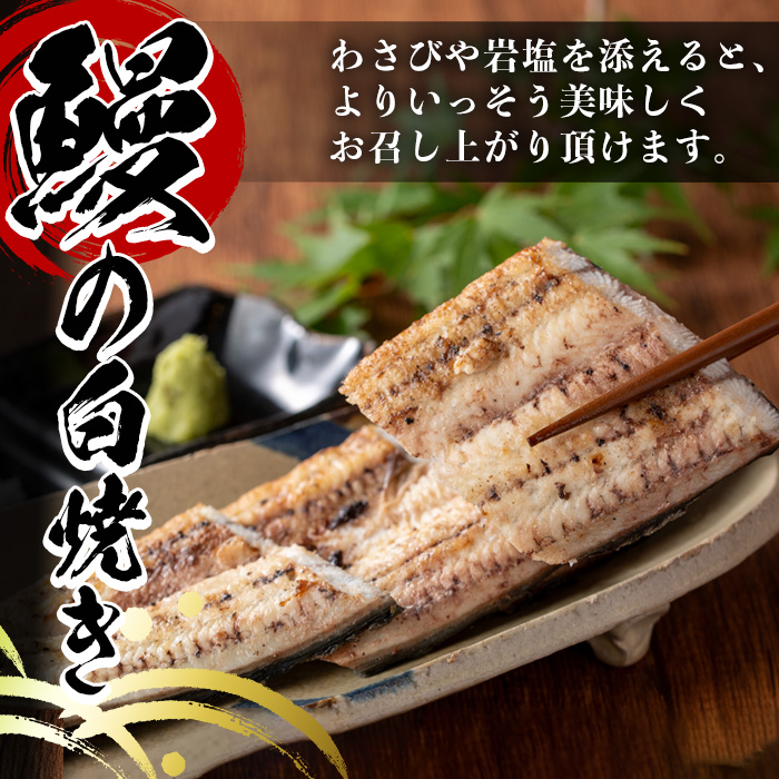 y489 国産！うなぎ白焼き(5尾・タレ付き) 国産 九州産 鰻 ウナギ 無頭 魚 魚介類 かばやき 蒲焼 蒲焼き しろやき 白焼 おかず 特産品 お土産 ギフト プレゼント 冷蔵【尾方屋】