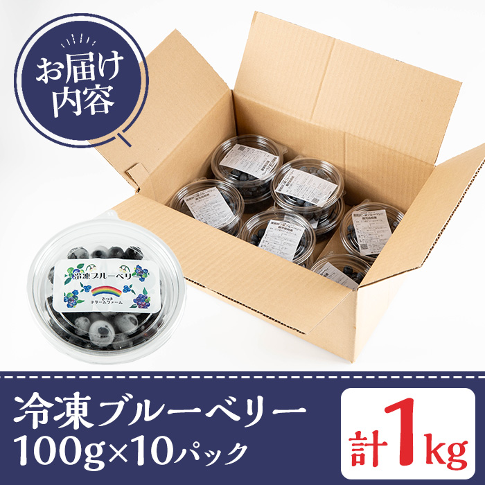 y527 《数量限定》冷凍ブルーベリー(計1kg・100g×10パック) 冷凍 国産 九州産 鹿児島県産 くだもの 果物 フルーツ シャーベット ジャム フローズン ベリー おやつ デザート 【体験型観光農園さつまドリームファーム】