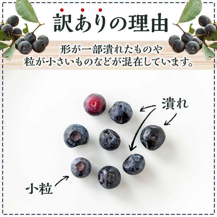 y528 《訳あり・加工用》冷凍ブルーベリー(1kg) 冷凍 国産 九州産 鹿児島県産 くだもの 果物 フルーツ シャーベット ジャム フローズン ベリー おやつ デザート 【体験型観光農園さつまドリームファーム】