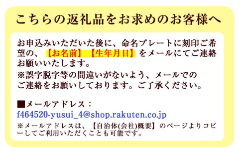 y341 命名プレート(1点) 杉材 オーダーメイド 命名書 出産祝い 記念品 ギフト 贈答 プレゼント 贈り物 名入れ 雑貨 置物 赤ちゃん ベビー 誕生日 木材 木 木工【木工房 木っ葉】