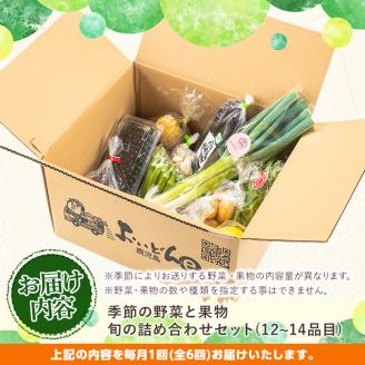 y359 《定期便・全6回》野菜と果物旬の詰め合わせ(12～14品目) 国産 九州産 鹿児島県産 野菜 やさい 果物 くだもの フルーツ デザート 詰め合わせ お楽しみ セット 旬【鹿児島県経済農業協同組合連合会】