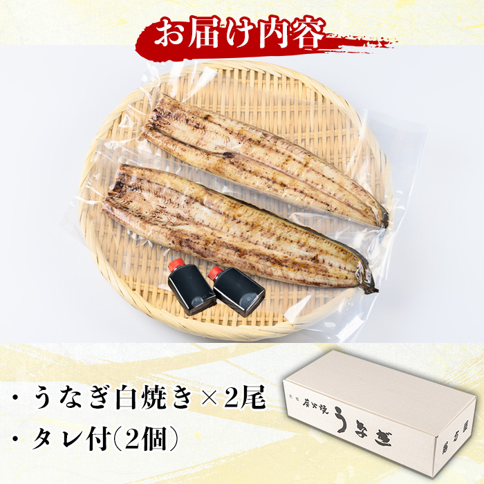 y134 国産！うなぎ白焼き(2尾・タレ付き)  国産 九州産 鰻 ウナギ うな重 うなじゅう 蒲焼 かばやき 白焼 しろやき 土用 丑の日 うな丼 タレ タレ付 おかず 冷蔵 特産品 お土産 ギフト プレゼント【尾方屋】