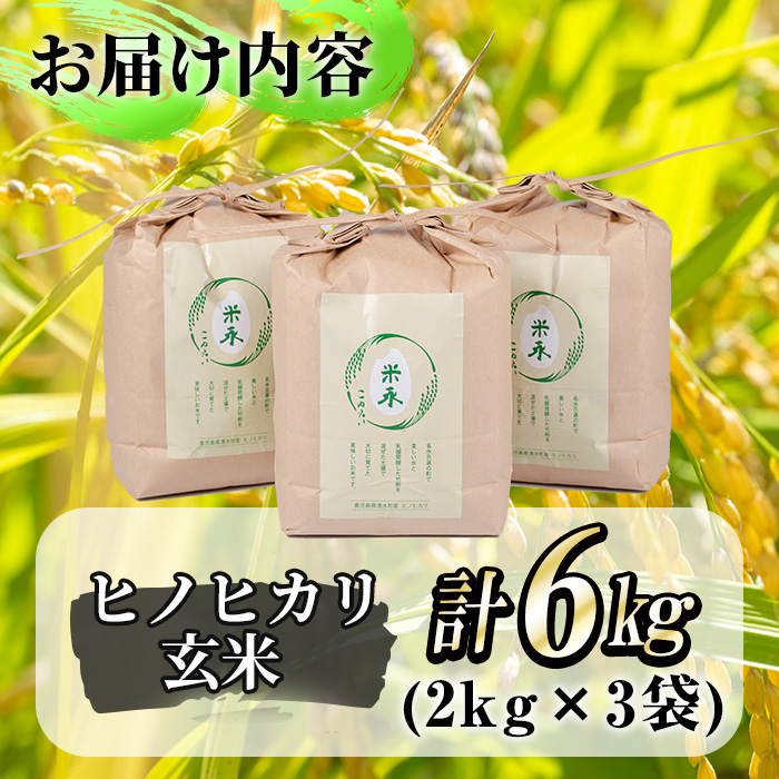 y171 名水百選の郷！ヒノヒカリ玄米6kg（2kg×3袋）国産 九州産 鹿児島県産 湧水町産 お米 おこめ オコメ 米 こめ コメ 玄米 ご飯  ごはん【仮屋産業】: 湧水町ANAのふるさと納税