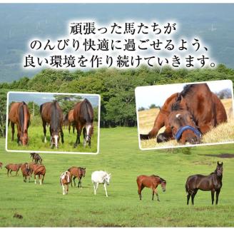 y241 馬主のいない馬を助けたい！トラストスポンサーチケット(1枚) 里親として1年間サポートするシステムです 馬 競走馬 競馬 乗馬 乗用馬 里親 ペット サポート【NPO法人ホーストラスト】