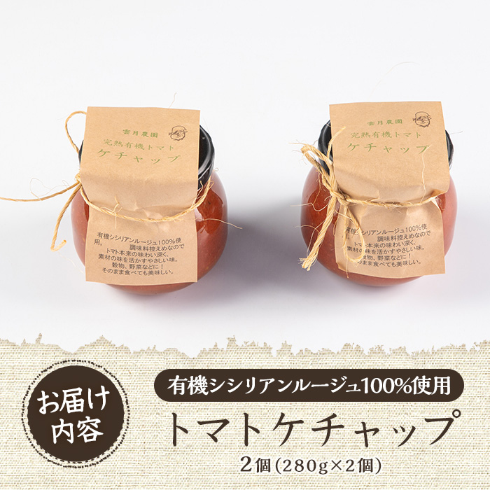 y380 《数量限定》トマトケチャップ2個(280g×2個)完熟有機トマトを使用した手作りトマトケチャップはそのままソースとしても使える優しいお味の調味料 国産 九州産 鹿児島県産 有機野菜 とまと オムライス オムレツ 【雲月農園】