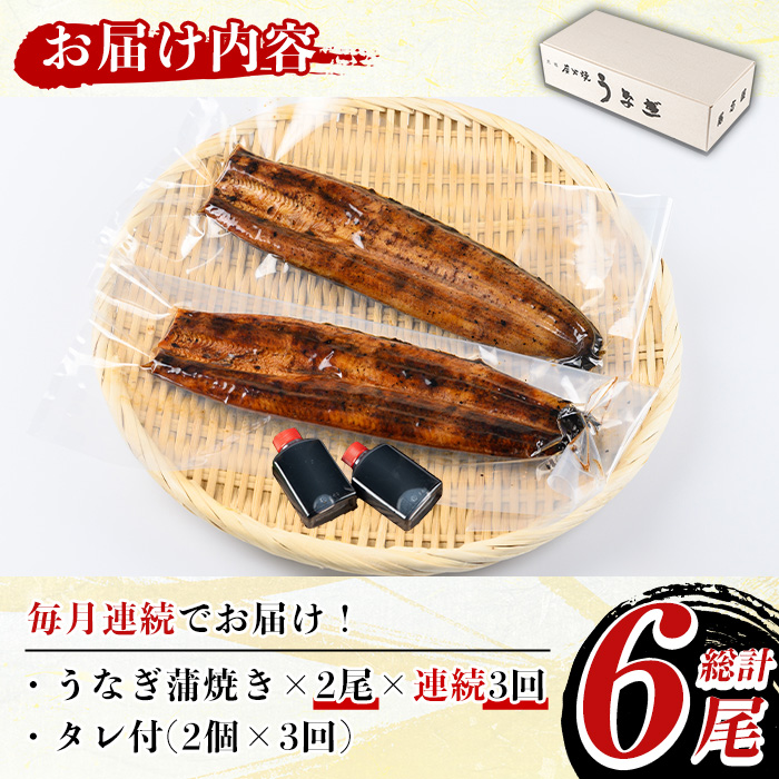 y490 《定期便・全3回》国産！うなぎ蒲焼き(2尾×3回・タレ付き) 国産 九州産 鹿児島県 宮崎県 鰻 ウナギ unagi うな重 うな丼 ひつまぶし うなじゅう 蒲焼 かばやき 無頭 魚 魚介類 土用 丑の日 タレ タレ付 おかず 惣菜 冷蔵 特産品 お土産 ギフト プレゼント ご贈答用 真空パック 湯煎 レンジ 簡単調理 定期 毎月【尾方屋】