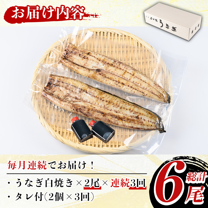 y491《定期便・全3回》国産！うなぎ白焼き(2尾×3回・タレ付き) 国産 九州産 鰻 ウナギ 無頭 魚 魚介類 かばやき 蒲焼 蒲焼き しろやき 白焼 おかず 特産品 お土産 ギフト プレゼント 冷蔵 定期便【尾方屋】
