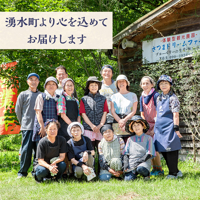 y527 《数量限定》冷凍ブルーベリー(計1kg・100g×10パック) 冷凍 国産 九州産 鹿児島県産 くだもの 果物 フルーツ シャーベット ジャム フローズン ベリー おやつ デザート 【体験型観光農園さつまドリームファーム】