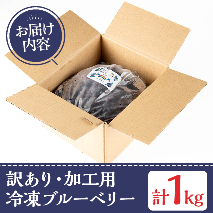 y528 《訳あり・加工用》冷凍ブルーベリー(1kg) 冷凍 国産 九州産 鹿児島県産 くだもの 果物 フルーツ シャーベット ジャム フローズン ベリー おやつ デザート 【体験型観光農園さつまドリームファーム】