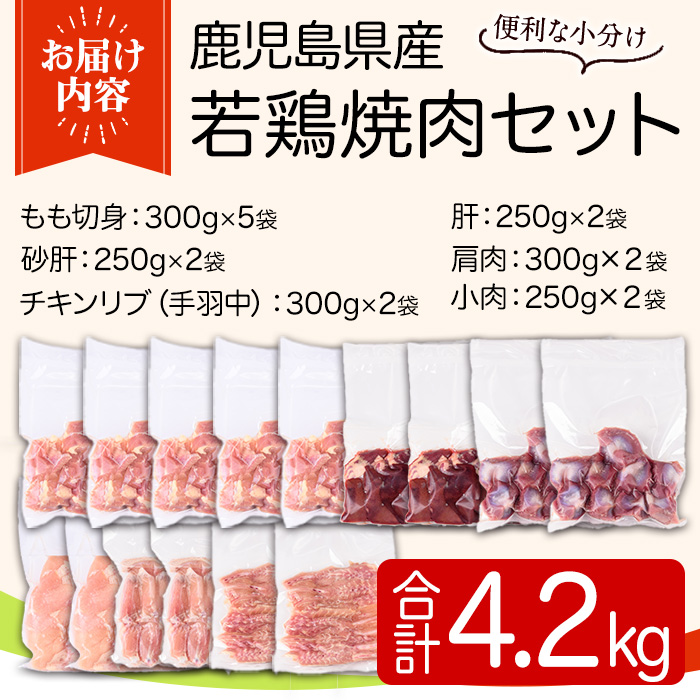 y548 鹿児島県産若鶏焼肉セット(6種・合計4.2kg) 国産 鶏肉 鳥肉 肉 若鶏 お肉 もも肉 モモ肉 砂肝 肝 手羽中 肩肉 チキン チキンリブ セット 詰め合わせ 焼き肉 焼肉 やきにく 小分け 冷凍 真空パック 食べ比べ 【TRINITY】