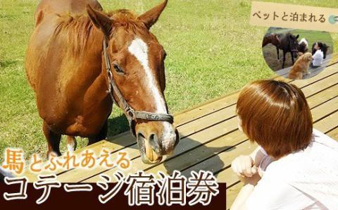y074 馬とふれあう&ペットと宿泊できる！ コテージPOSY　1泊2日宿泊券（1名様分）体験チケット 体験 レジャー アクティビティ ペット ふれあい 馬 宿泊 宿【霧島アート牧場】