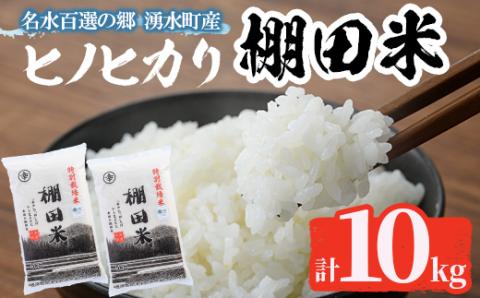 C09 鹿児島県産ひのひかり 棚田米10kgセット(5kg×2袋) 国産 九州産 鹿児島県産 湧水町産 10kg 新米 お米 おこめ 米 白米 ご飯 ごはん おにぎり ひのひかり ヒノヒカリ 令和7年産 【くりの物産館】