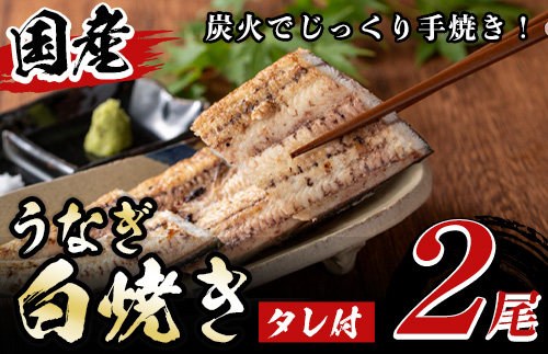 y134 国産！うなぎ白焼き(2尾・タレ付き)  国産 九州産 鰻 ウナギ うな重 うなじゅう 蒲焼 かばやき 白焼 しろやき 土用 丑の日 うな丼 タレ タレ付 おかず 冷蔵 特産品 お土産 ギフト プレゼント【尾方屋】