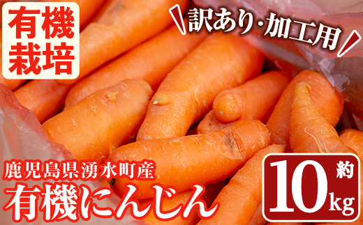 y161 ≪訳あり・数量限定≫湧水町産有機にんじん(約10kg) 国産 九州産 鹿児島産 有機野菜 有機栽培 にんじん 人参 ニンジン キャロットジュース 野菜 やさい おかず 旬 わけあり 訳アリ 不揃い 規格外 期間限定 数量限定 オーガニック 健康【そのやま農園】