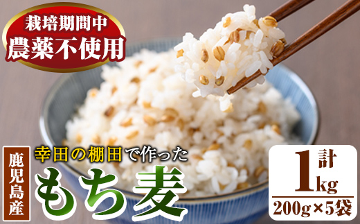 y215 棚田で作ったもち麦200g×5袋(計1kg)！日本棚田百選に選定されている「鹿児島県湧水町幸田棚田のもち麦」国産 九州産 鹿児島県産 もち麦 ごはん ご飯 ダイエット 健康【福永商店】