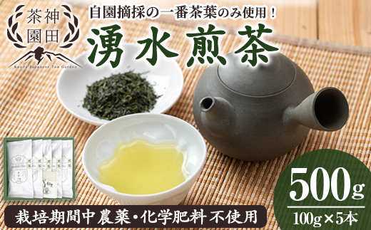 y312 《数量限定》鹿児島県湧水町産！栽培期間中農薬・化学肥料不使用！湧水煎茶(100g×5本) 国産 九州産 鹿児島県産 茶葉 お茶 茶 日本茶 緑茶 煎茶 一番茶 湧水茶 浅蒸し茶 ギフト 贈答 プレゼント 贈り物 令和7年産 【神田茶園】