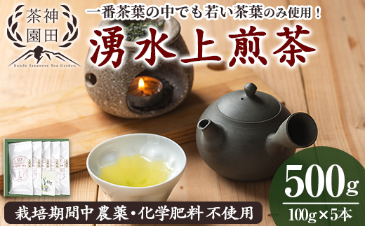 y313 《数量限定》鹿児島県湧水町産！栽培期間中農薬・化学肥料不使用！湧水上煎茶 計500g(100g×5本) 国産 九州産 鹿児島県産 茶葉 お茶 茶 日本茶 緑茶 上煎茶 一番茶 湧水茶 浅蒸し茶 ギフト 贈答 プレゼント 贈り物 令和7年産 【神田茶園】