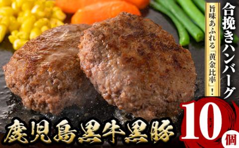 y436 鹿児島黒牛黒豚ハンバーグ(10個・計1.3kg) 国産 九州産 鹿児島県産 お肉 ぶた ブタ 豚肉 牛肉 ミンチ パック 小分け 冷凍 冷凍ハンバーグ おかず 惣菜 調理 お弁当【さつま屋産業】