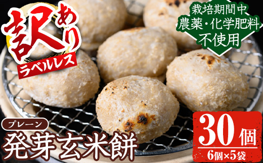 y454-R802 《訳あり！先行予約！2026年2月以降順次発送》発芽玄米餅 計30個(プレーン6個×5袋) ラベルレス！栽培期間中農薬・化学肥料不使用の自家製もち玄米をお餅に！ お餅 餅 おもち もち げんまい 玄米 農薬不使用 化学肥料不使用 訳あり 訳アリ ワケあり ラベルレス オーガニック 有機 有機農業 【雲月農園】