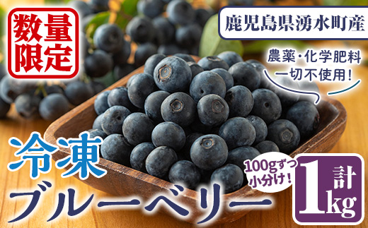 y527 《数量限定》冷凍ブルーベリー(計1kg・100g×10パック) 冷凍 国産 九州産 鹿児島県産 くだもの 果物 フルーツ シャーベット ジャム フローズン ベリー おやつ デザート 【体験型観光農園さつまドリームファーム】