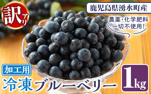 y528 《訳あり・加工用》冷凍ブルーベリー(1kg) 冷凍 国産 九州産 鹿児島県産 くだもの 果物 フルーツ シャーベット ジャム フローズン ベリー おやつ デザート 【体験型観光農園さつまドリームファーム】