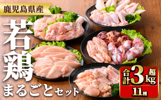 y539 鹿児島県産若鶏まるごとセット(合計3.05kg) 国産 鶏肉 鳥肉 肉 若鶏 お肉 もも肉 モモ肉 むね肉 ムネ肉 胸肉 ささみ ササミ 筋なし 砂肝 肝 手羽先 キチンリブ 手羽元 肩肉 小肉 骨付きモモ セット 詰め合わせ 小分け 冷凍 真空パック 食べ比べ 【TRINITY】