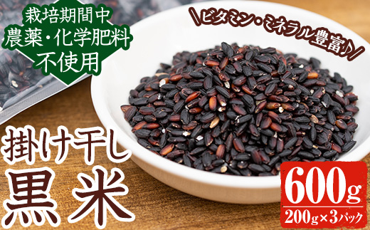 y172 [栽培期間中農薬化学肥料不使用]掛け干し黒米 計600g(200g×3パック) 国産 九州産 鹿児島産 湧水町産 黒米 お米 米 おこめ 600g 化学肥料不使用 農薬不使用 [雲月農園]