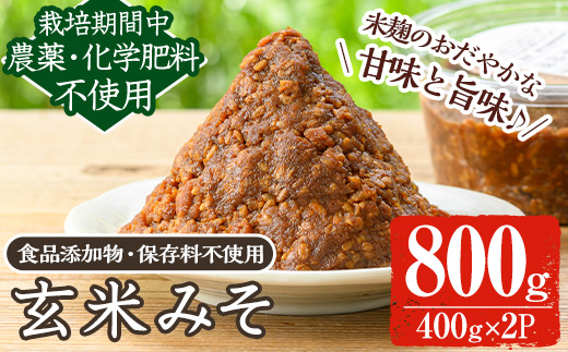 y455 [数量限定]玄米味噌 計800g(400g×2パック) 味噌 玄米味噌 大豆 麹 こうじ みそ汁 味噌汁 野菜炒め 田楽[雲月農園]