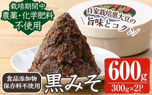 y457 [数量限定]黒味噌(黒米麹と黒大豆)計600g(300g×2パック) 味噌 黒味噌 黒大豆 大豆 田楽 和え物 黒米麹 麹 こうじ みそ汁 味噌汁 有機 有機農業 有機肥料 [雲月農園]