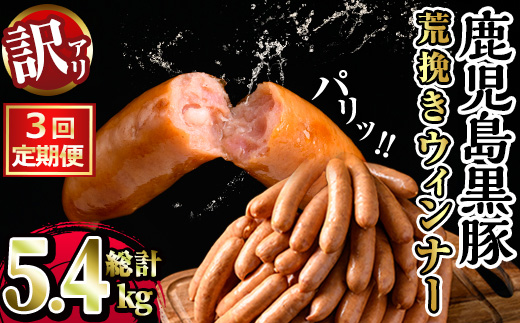 y569 [定期便・全3回][業務用・訳あり]鹿児島県産黒豚荒挽きウィンナー(総計5.4kg・900g×2P×3回) 国産 九州産 黒豚 豚肉 ウインナー ソーセージ フランクフルト 惣菜 おかず 弁当 BBQ キャンプ 冷凍 訳アリ [ナンチク]