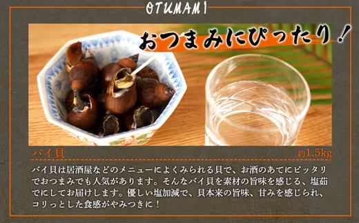 やみつき　バイ貝の塩茹で　1.5kg