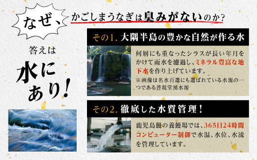 うなぎ 蒲焼 120g×5尾【鹿児島産】地下水で育てた絶品鰻